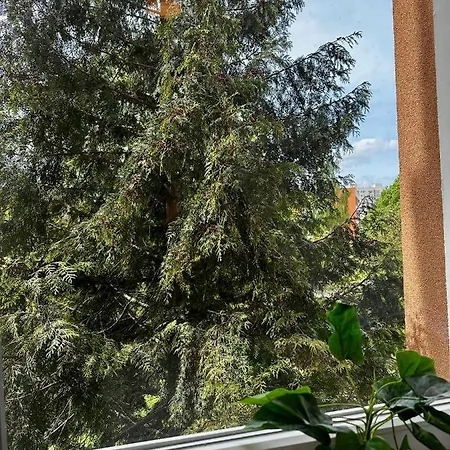 Проживание в семье Pastelowy *