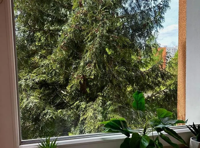 Pastelowy * Γκντανσκ